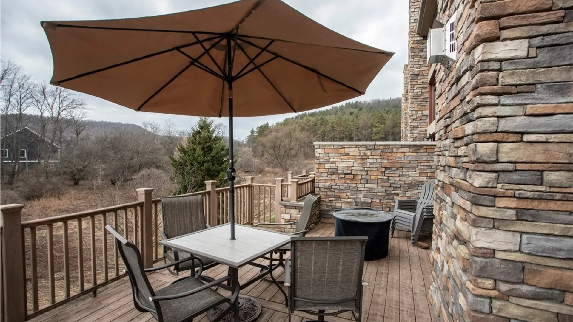 Property at 25 Ellicottvillas, Ellicottville, NY 14731 46