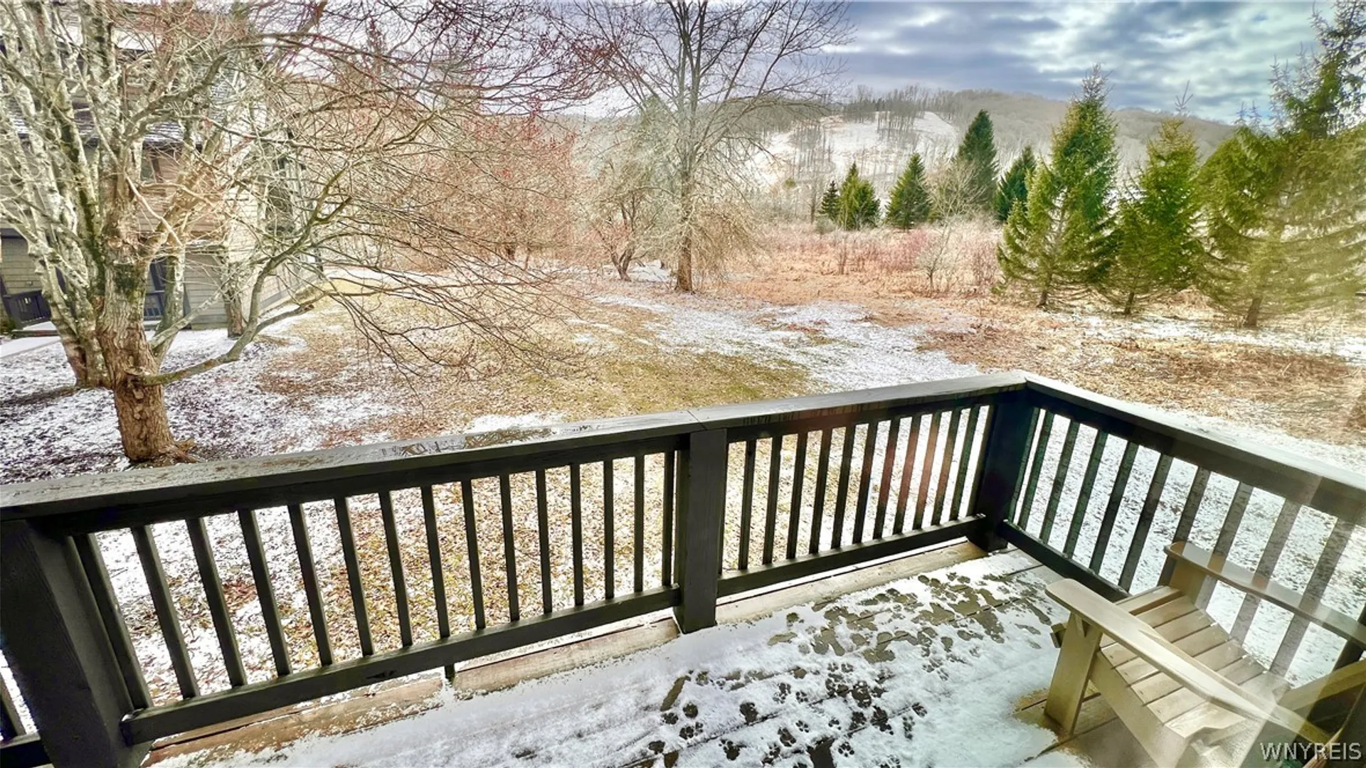 Property at 118 Holiview, Ellicottville, NY 14731 46