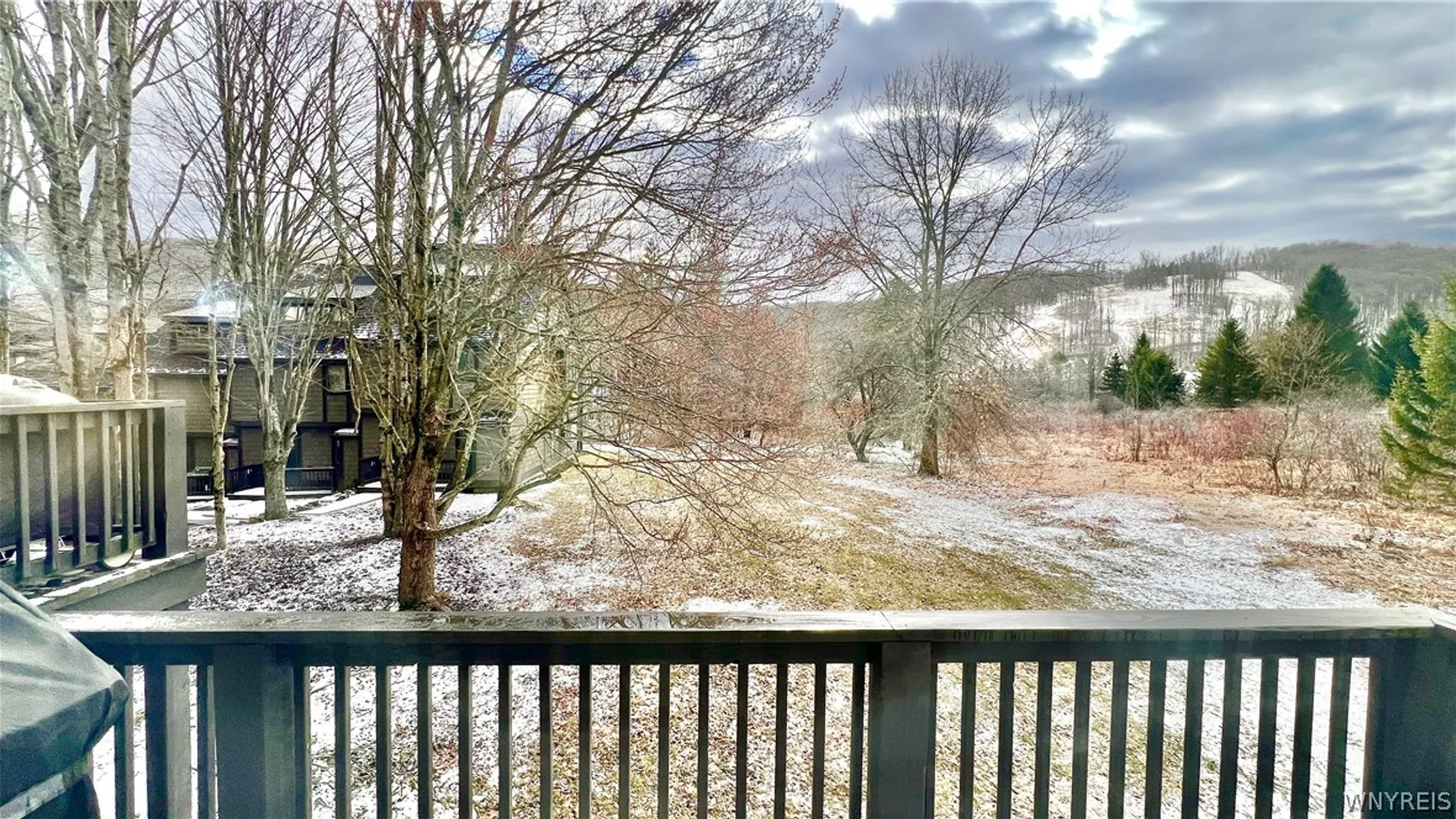 Property at 118 Holiview, Ellicottville, NY 14731 47