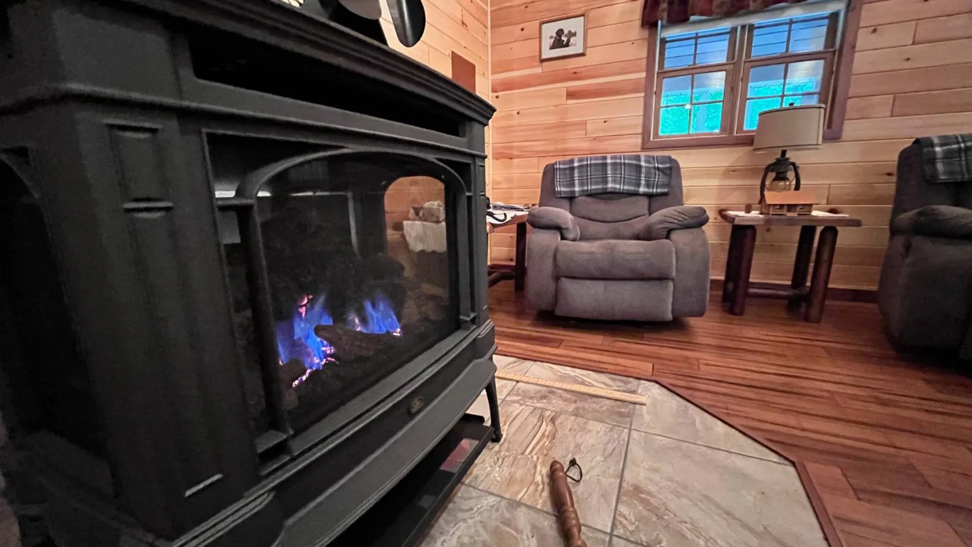 Property at 629 Kent St, Cherry Creek, NY 14723 20