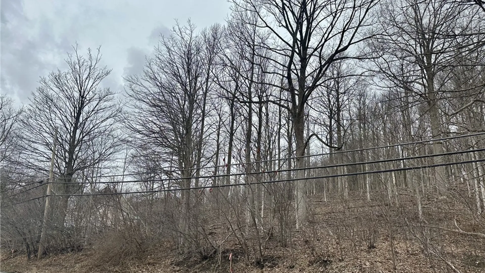 Property at 00 Warners Rd Lot #3, Camillus, NY 13209 2