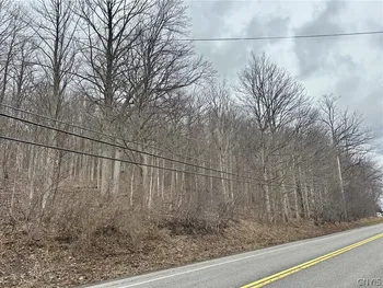 Property at 00 Warners Rd Lots 1-3, Camillus, NY 13031