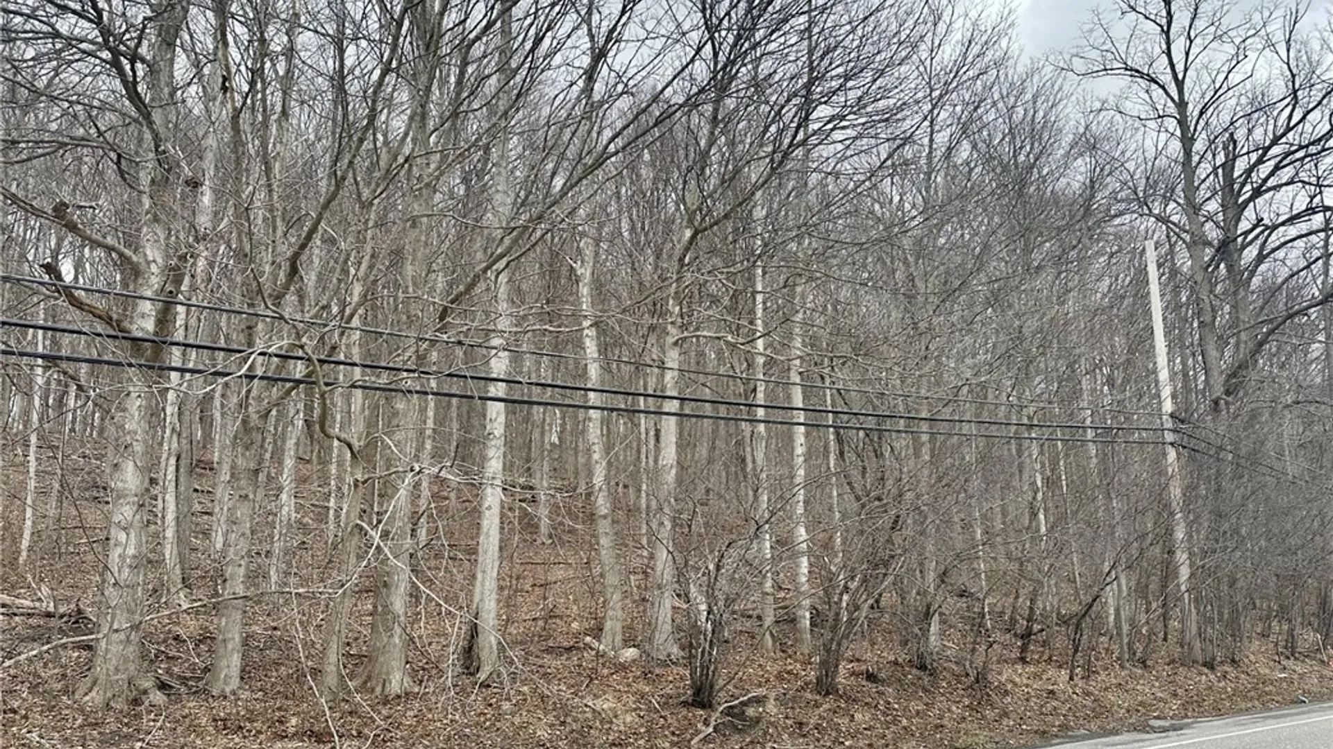 Property at 00 Warners Rd Lots 1-3, Camillus, NY 13031 3