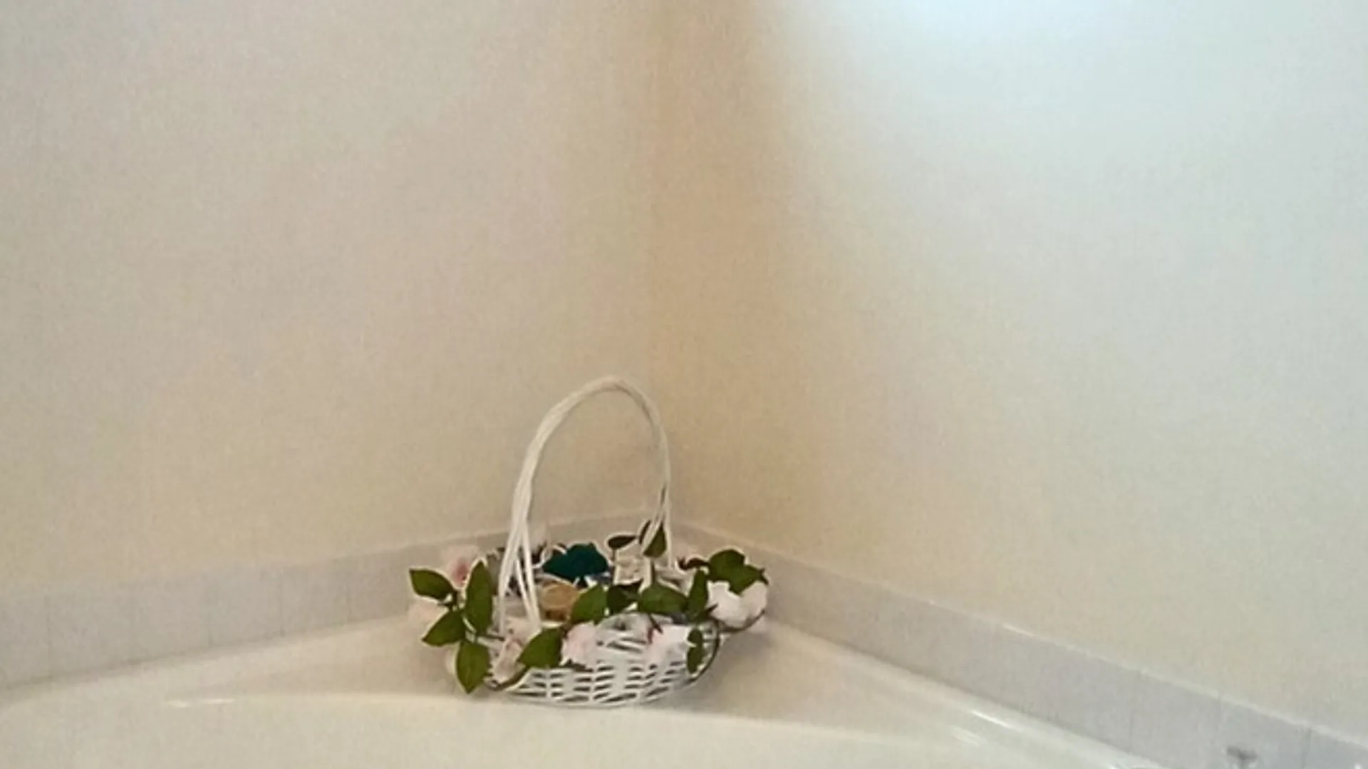 Property at 8 Solterra Circle, Allegany, NY 14706 24