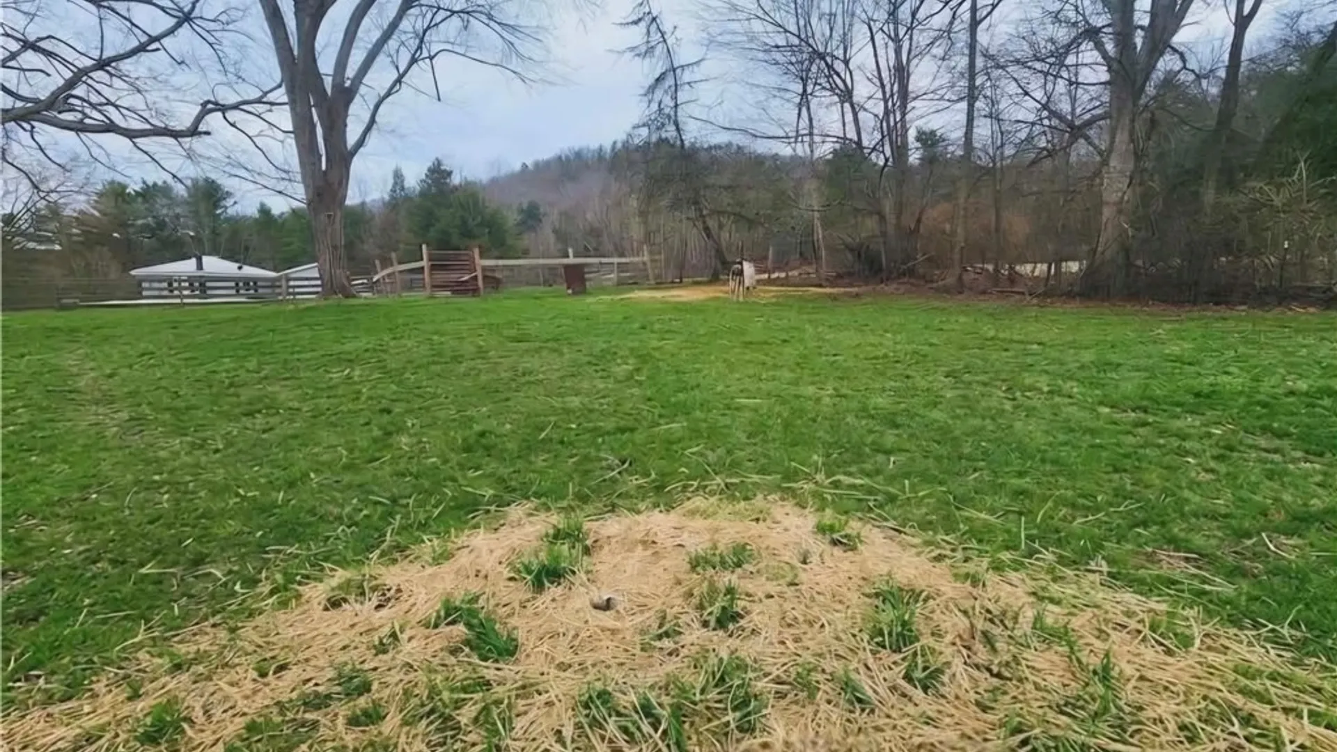 Property at 1435 State Route 17c, Barton, NY 13734 43