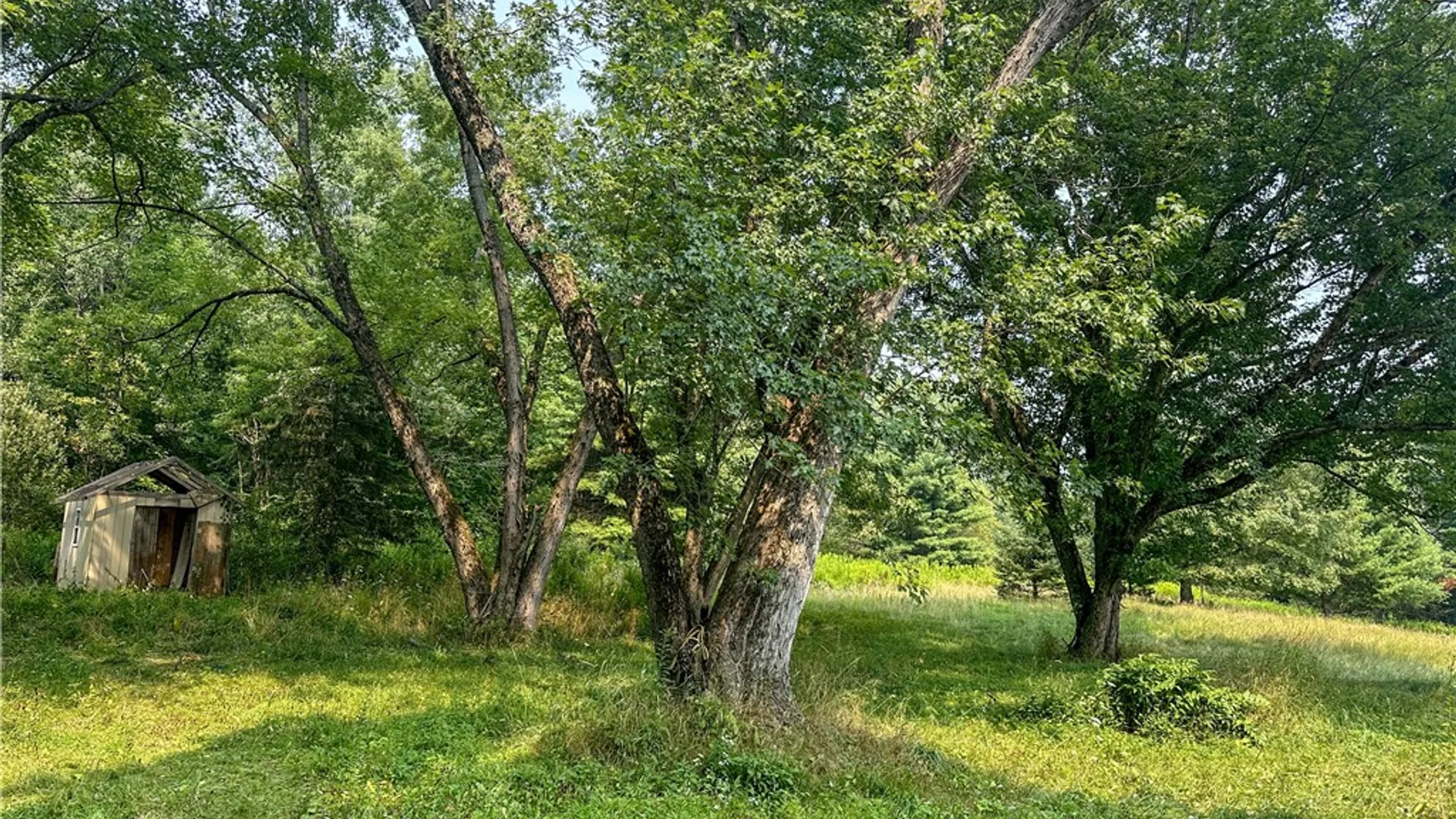 Property at 5148 County Road 4, Granger, NY 14735 38