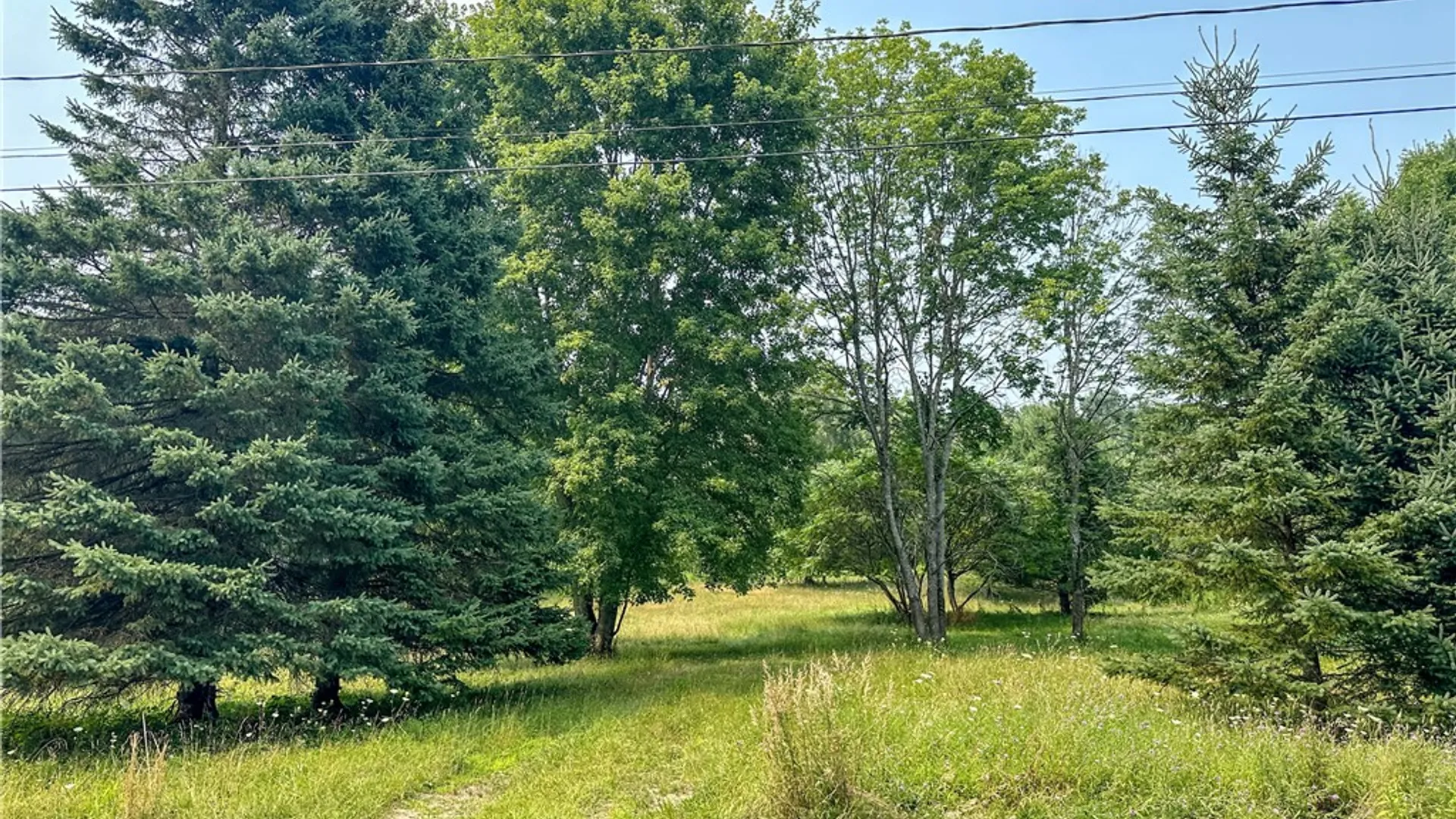 Property at 5148 County Road 4, Granger, NY 14735 39