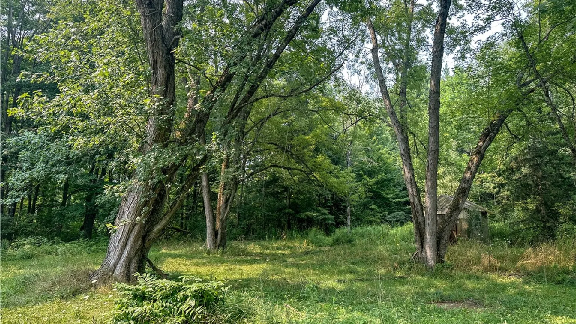 Property at 5148 County Road 4, Granger, NY 14735 7