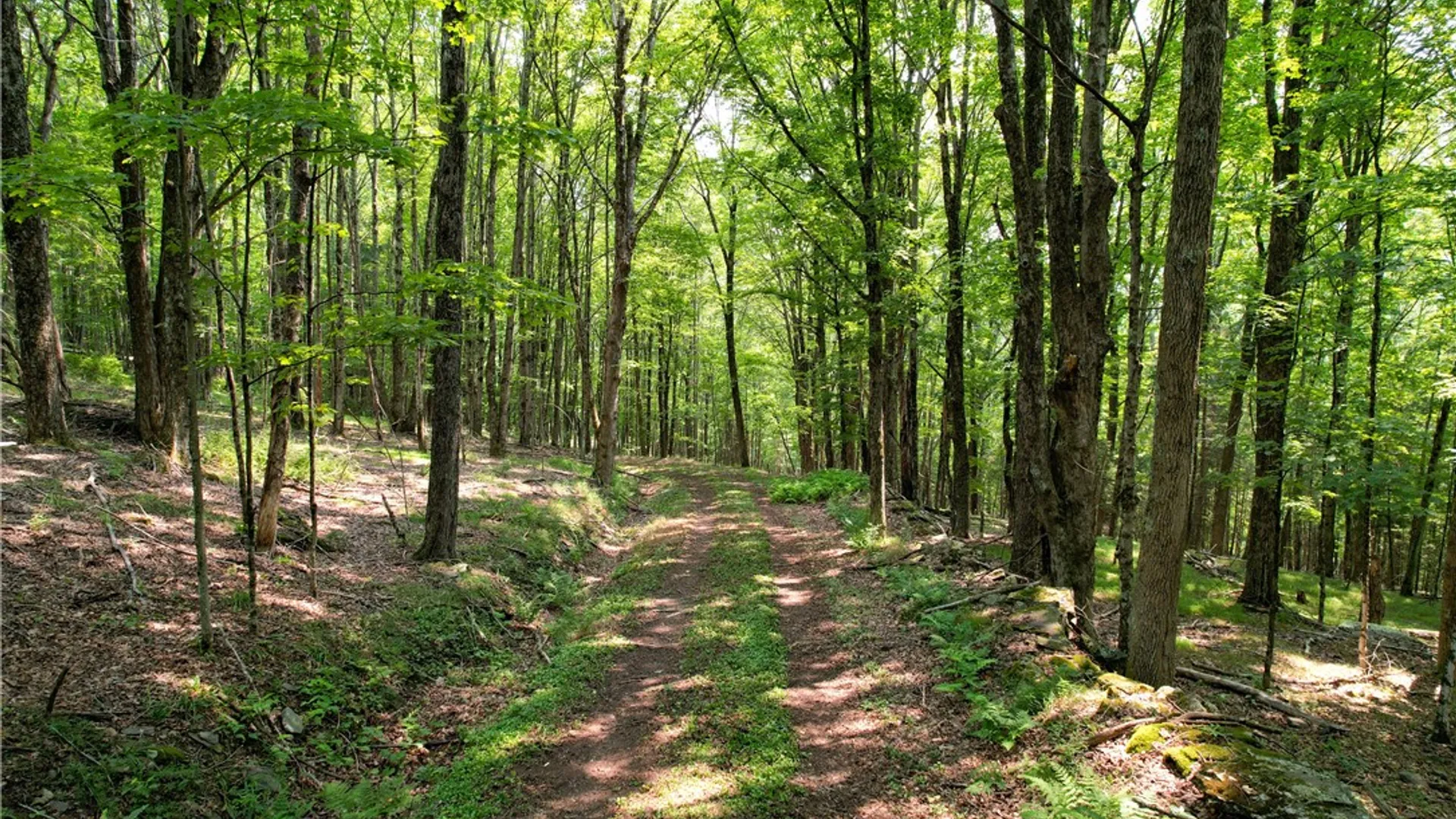 Property at 0 Red Kill Road, Middletown, NY 12430 11