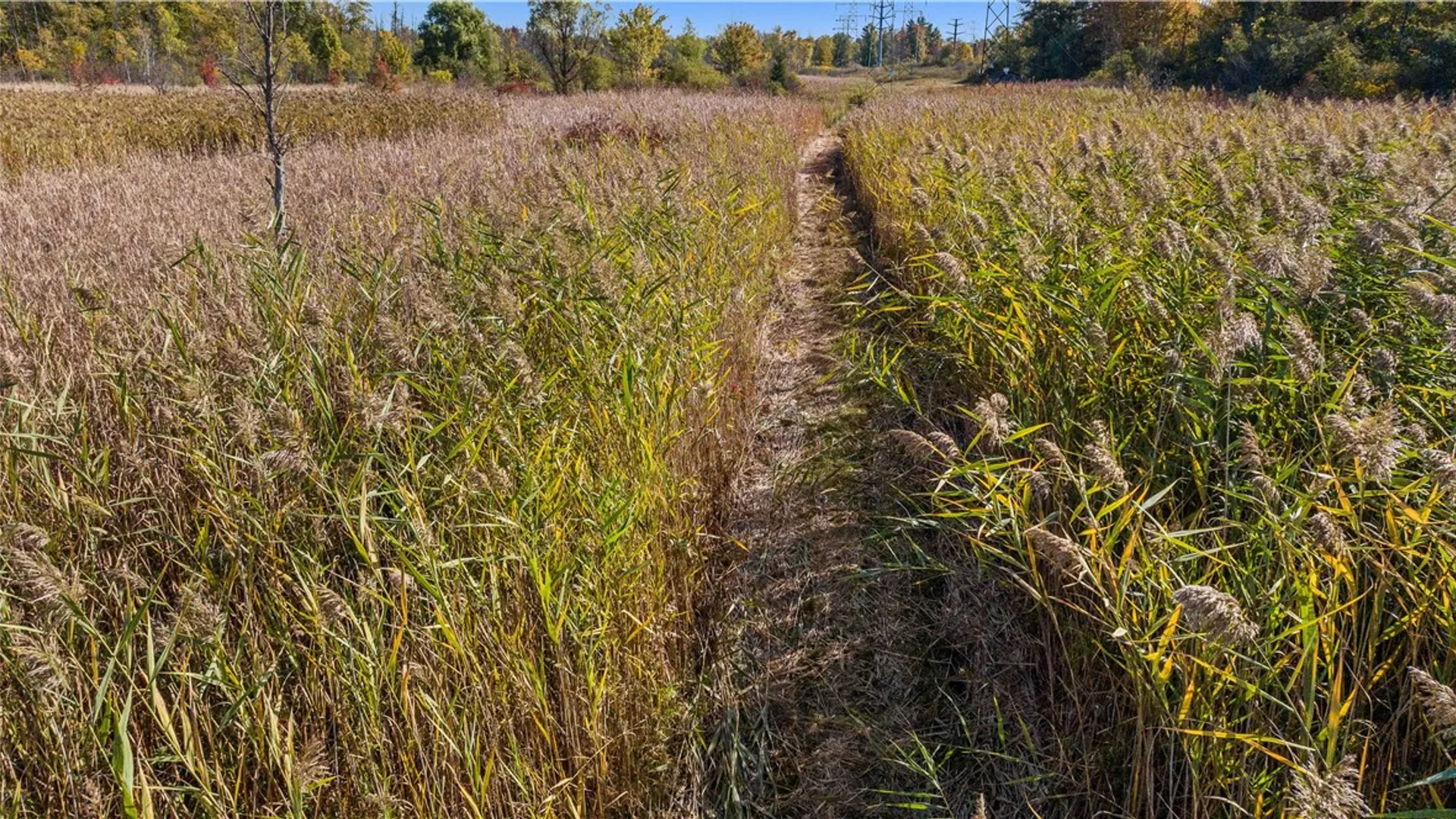 Property at Rt-96, Farmington, NY 14425 10