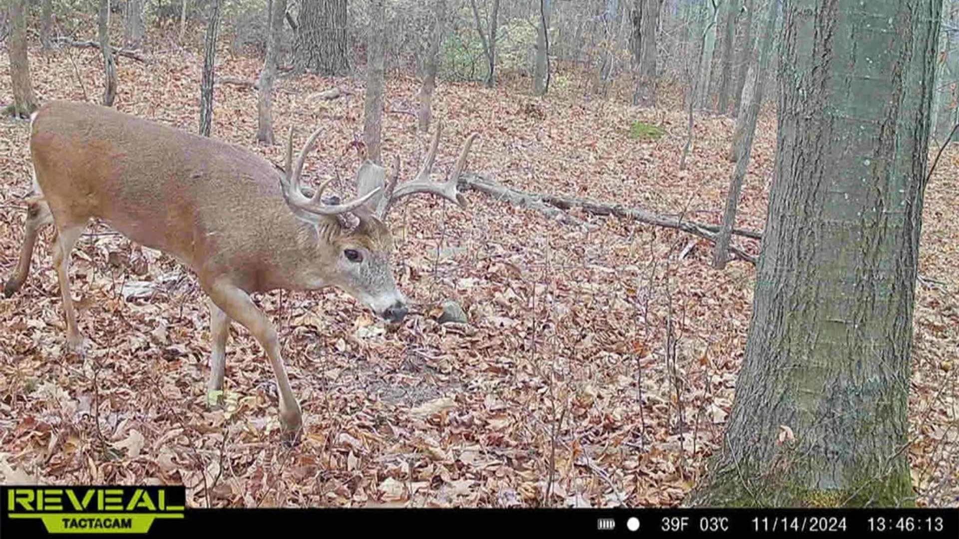 Property at Rt-96, Farmington, NY 14425 24