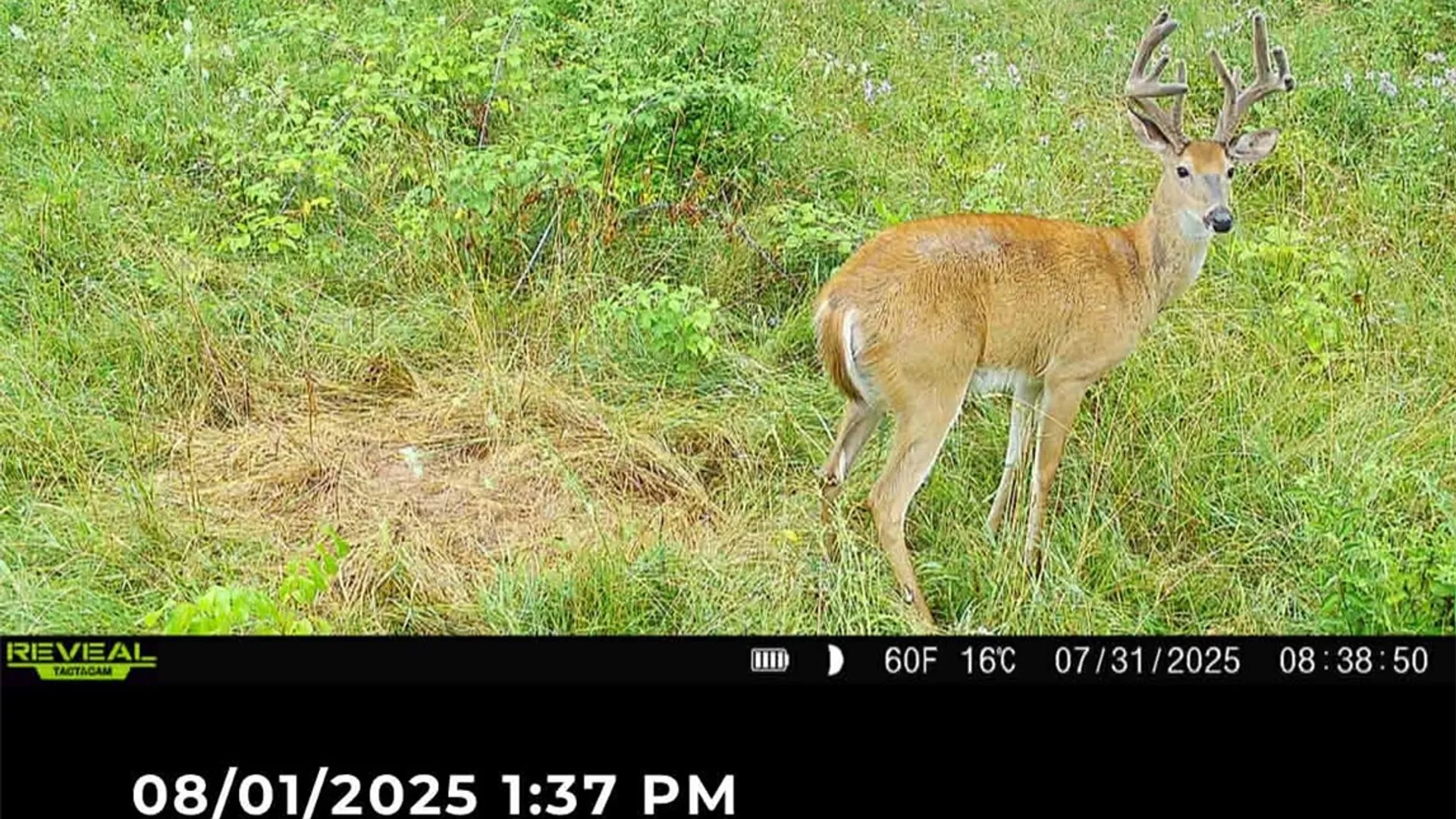 Property at Rt-96, Farmington, NY 14425 25