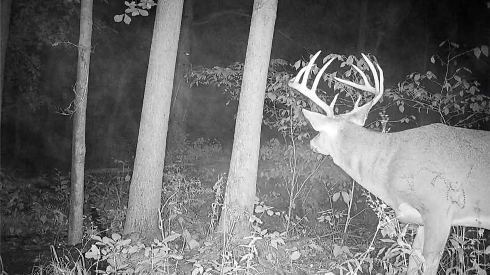 Property at Rt-96, Farmington, NY 14425 26