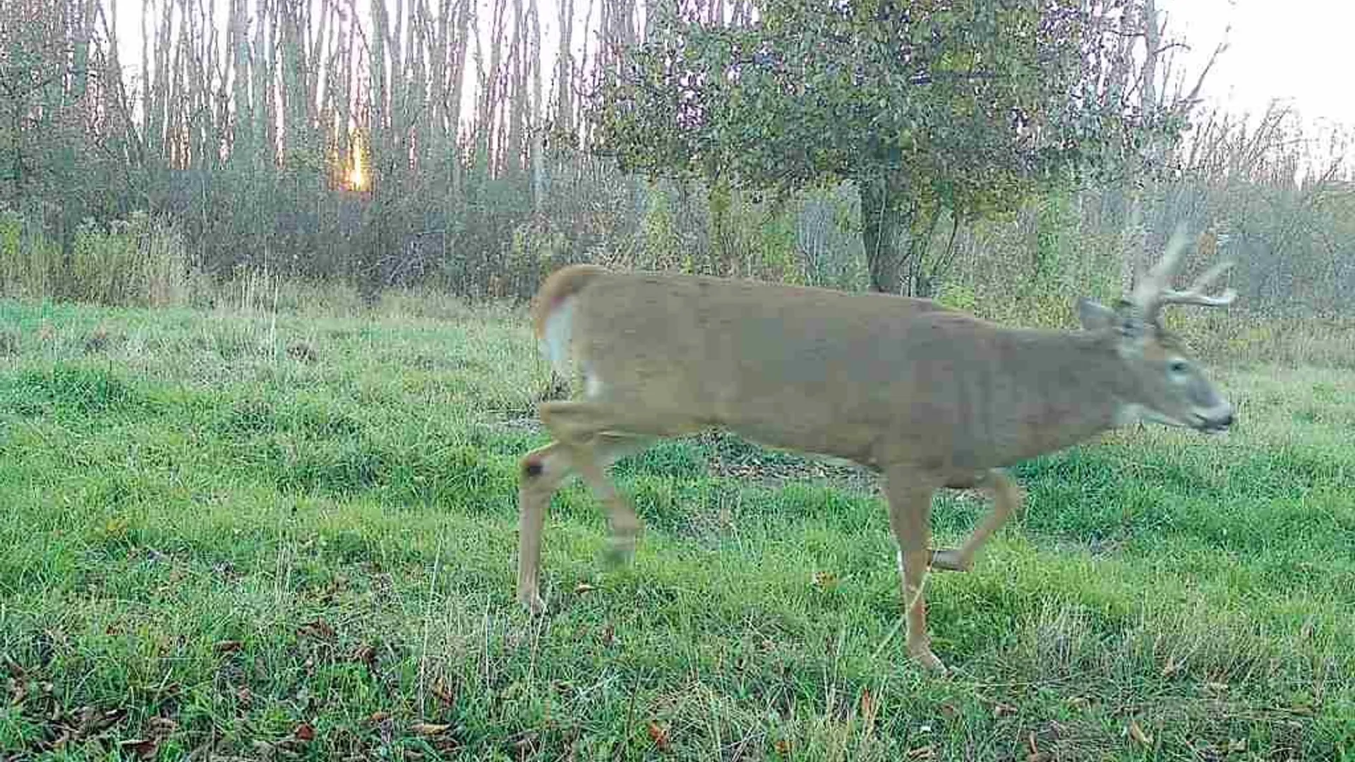 Property at Rt-96, Farmington, NY 14425 27