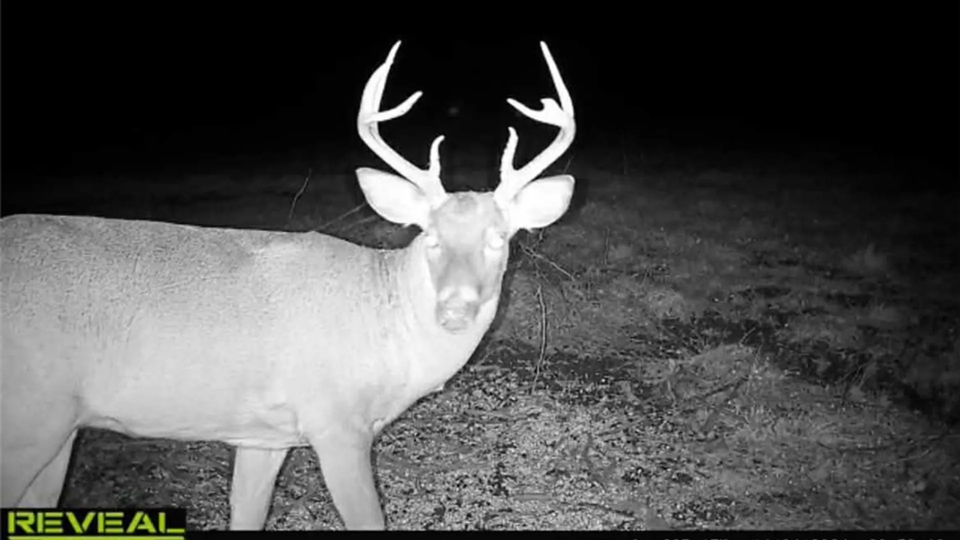 Property at Rt-96, Farmington, NY 14425 28