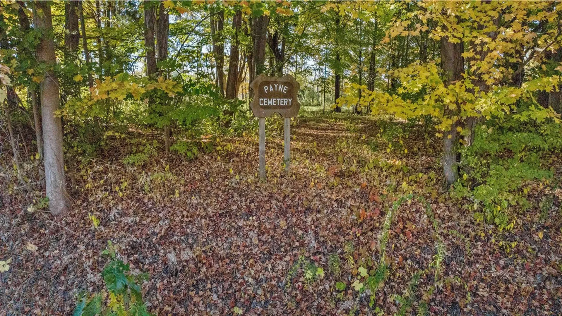 Property at Rt-96, Farmington, NY 14425 29