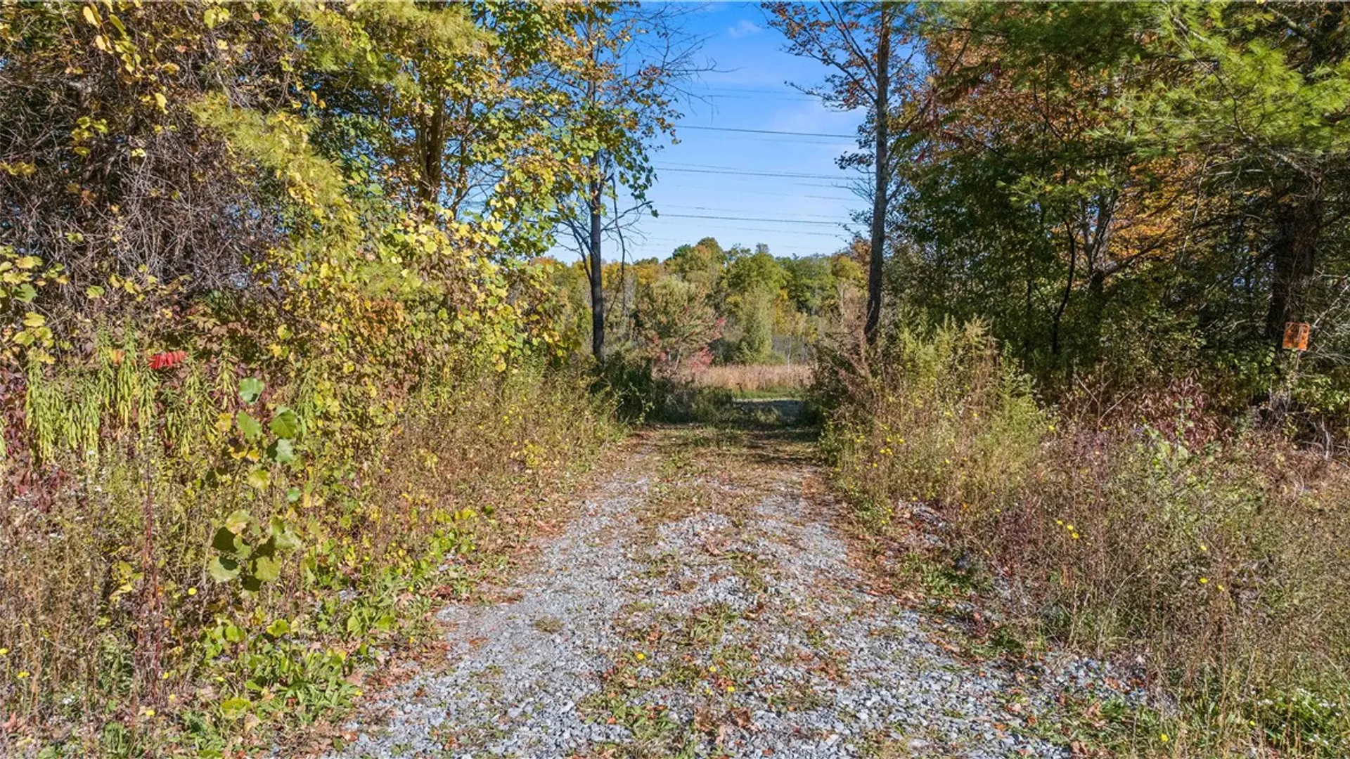 Property at Rt-96, Farmington, NY 14425 3