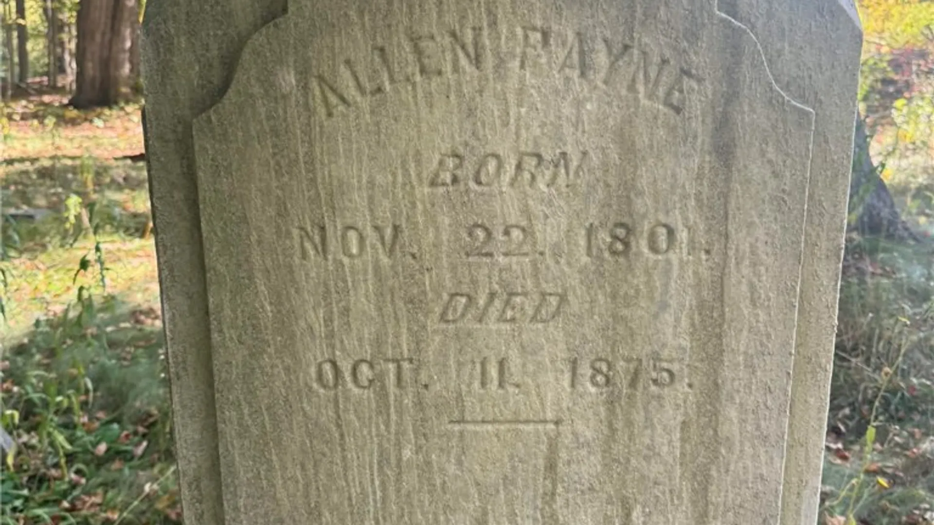 Property at Rt-96, Farmington, NY 14425 31