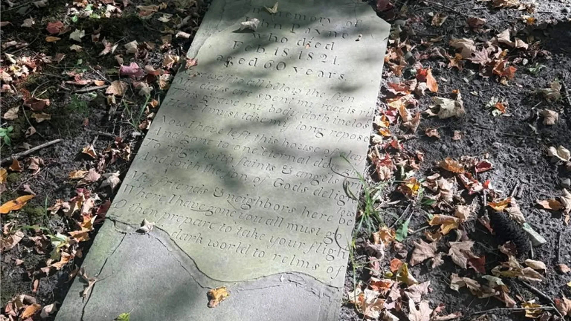 Property at Rt-96, Farmington, NY 14425 32