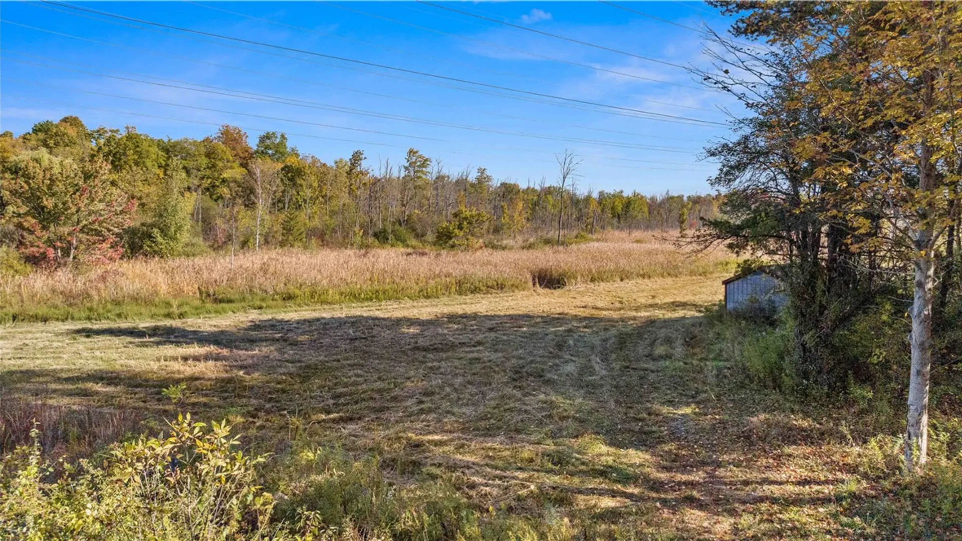 Property at Rt-96, Farmington, NY 14425 4