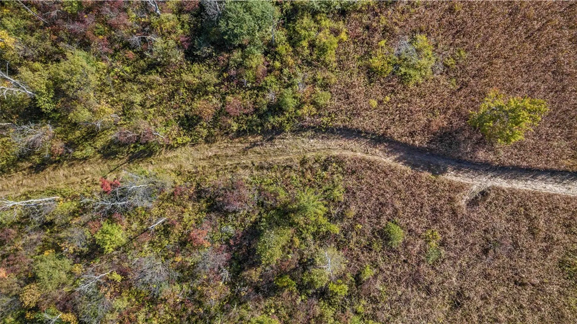 Property at Rt-96, Farmington, NY 14425 8