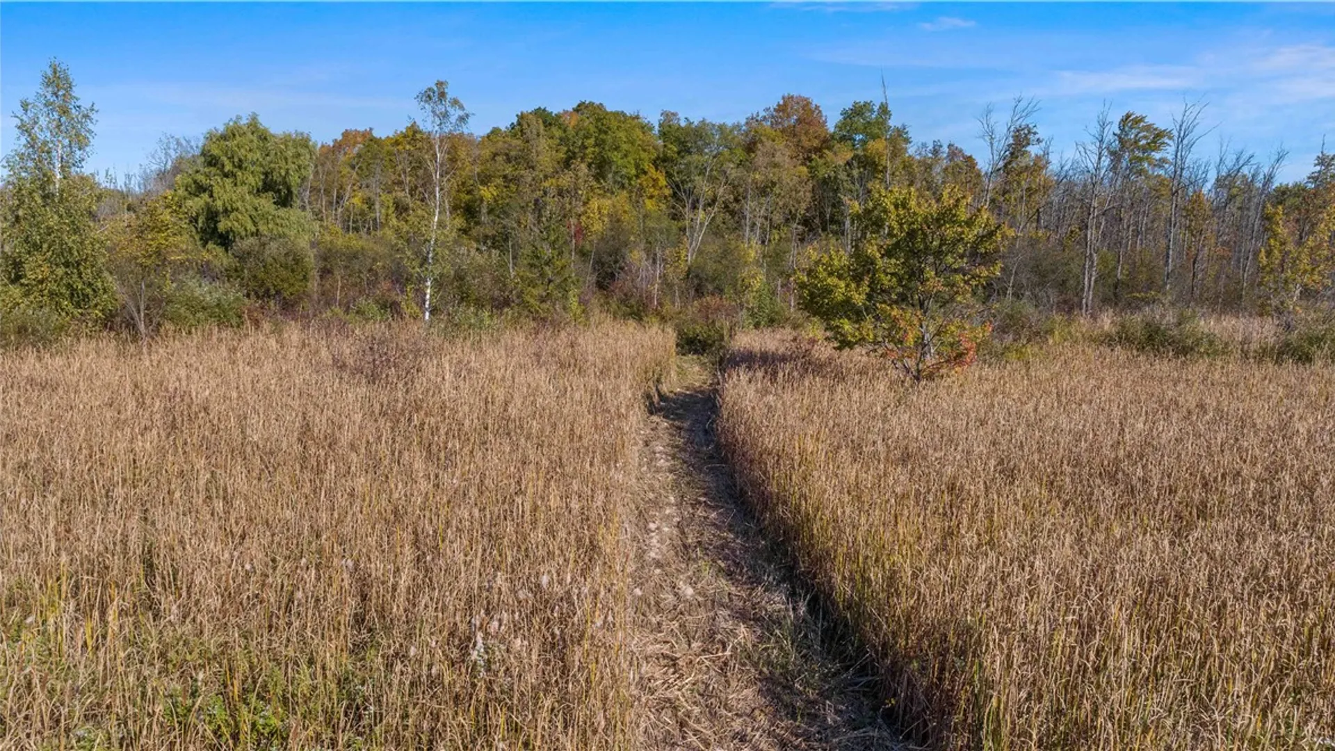 Property at Rt-96, Farmington, NY 14425 9