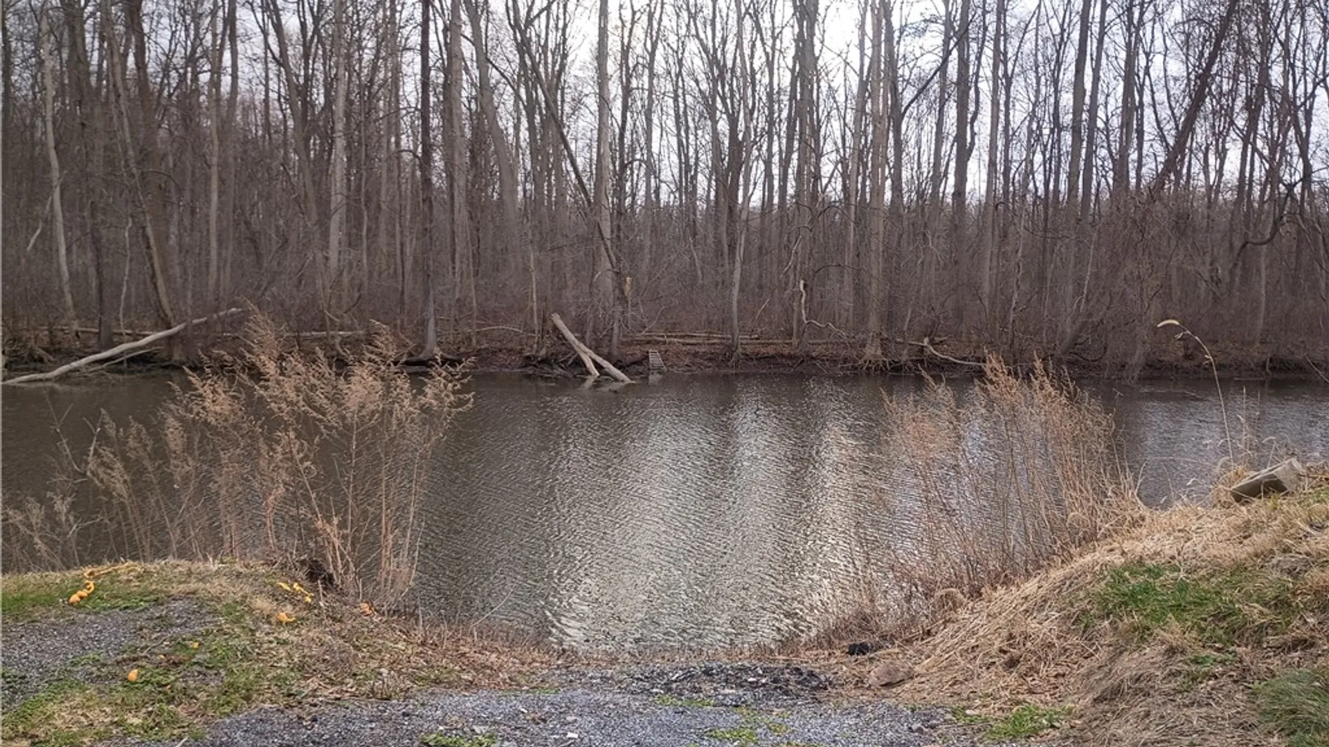 Property at 1521 River Road, Galen, NY 14433 24