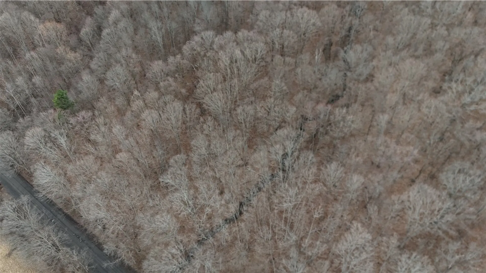 Property at 1592 Emerson Road, Potter, NY 14507 10