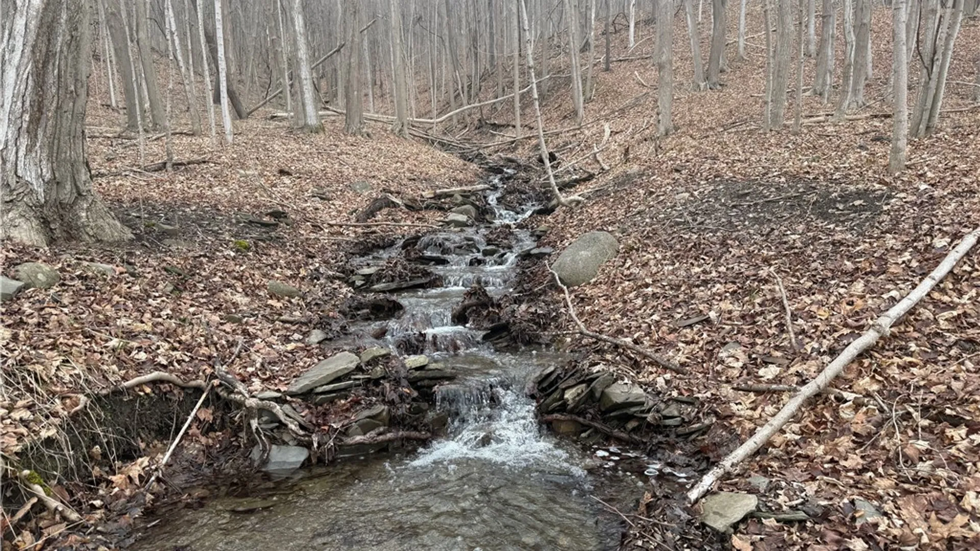 Property at 1592 Emerson Road, Potter, NY 14507 2