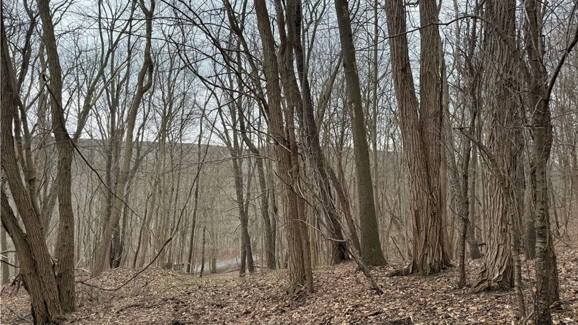 Property at 1592 Emerson Road, Potter, NY 14507 6