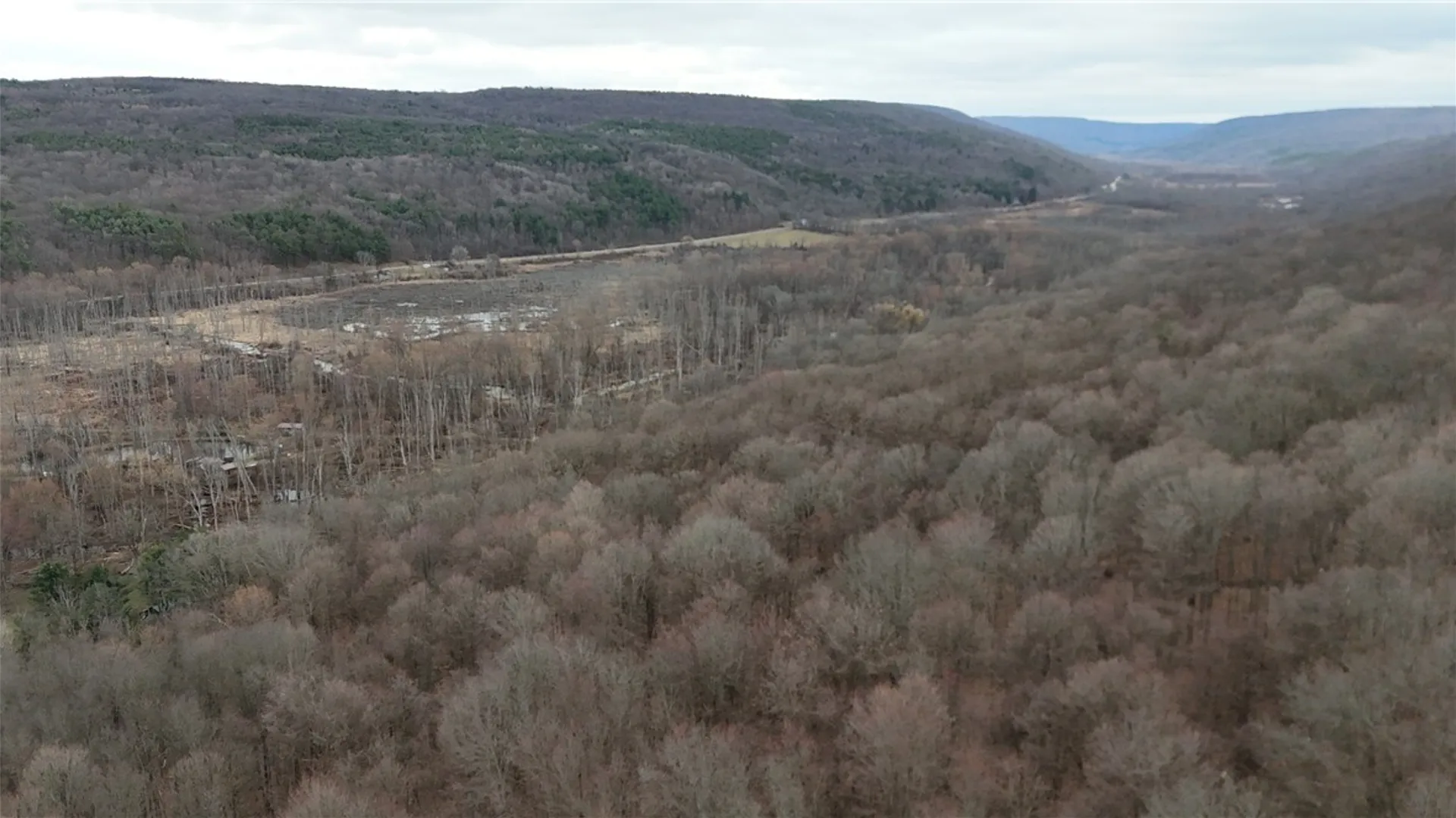 Property at 1592 Emerson Road, Potter, NY 14507 9