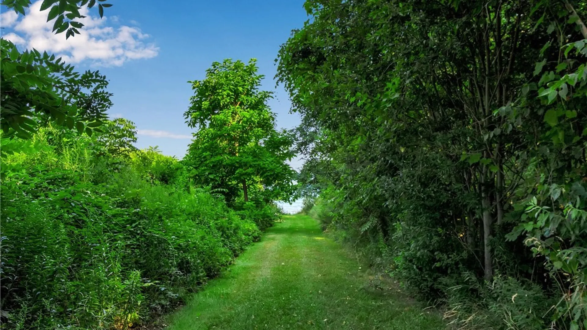 Property at V/L Hummingbird Lane, Newfane, NY 14108 12