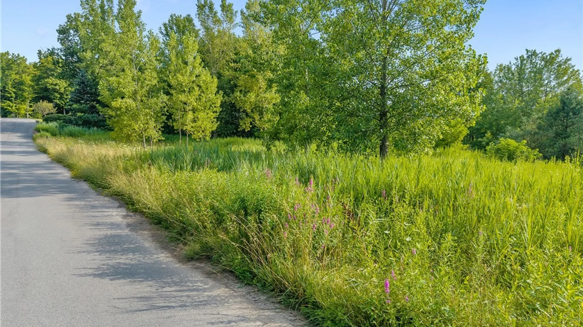 Property at Obrien Glenway, Minetto, NY 13126 5