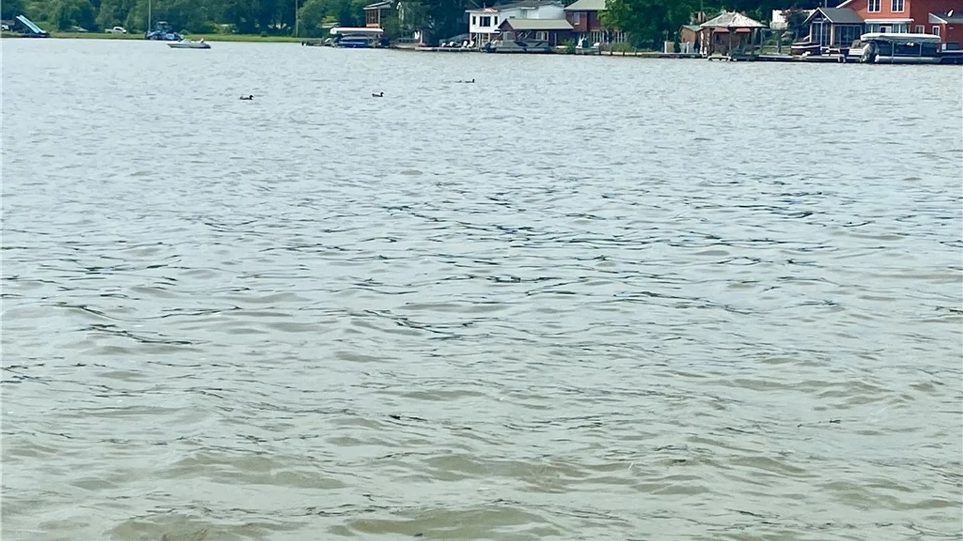 Property at 373B Shore Road, Cuba, NY 14727 3