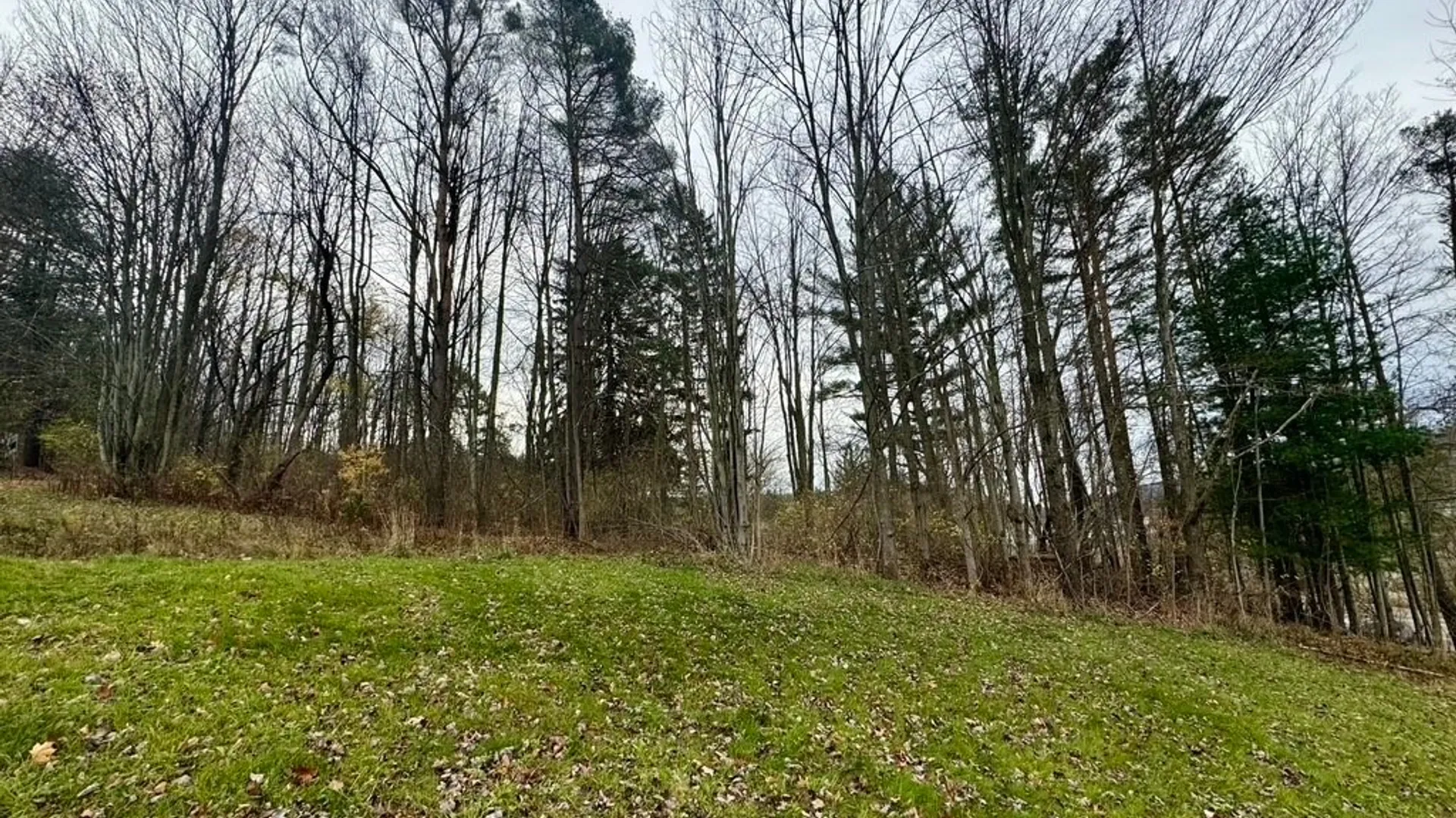 Property at 373B Shore Road, Cuba, NY 14727 34