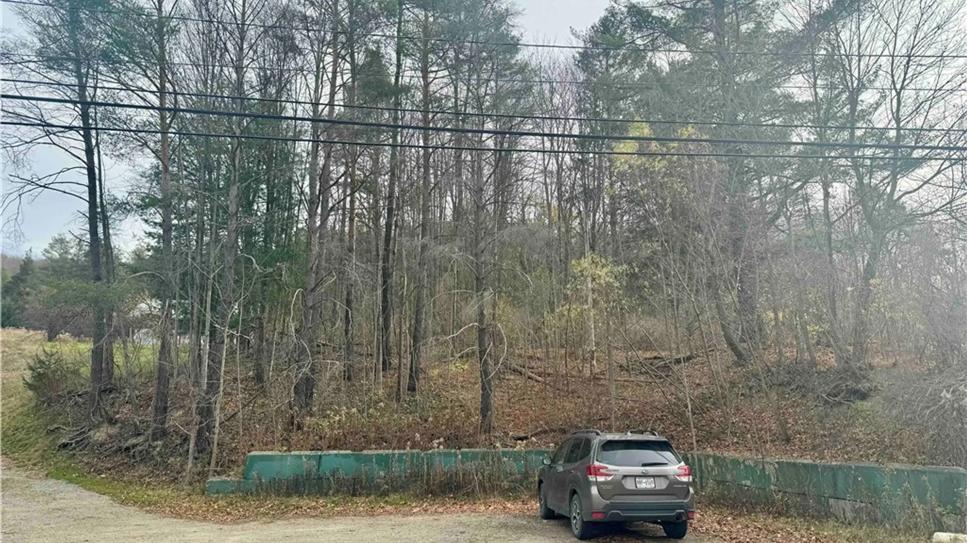 Property at 373B Shore Road, Cuba, NY 14727 36