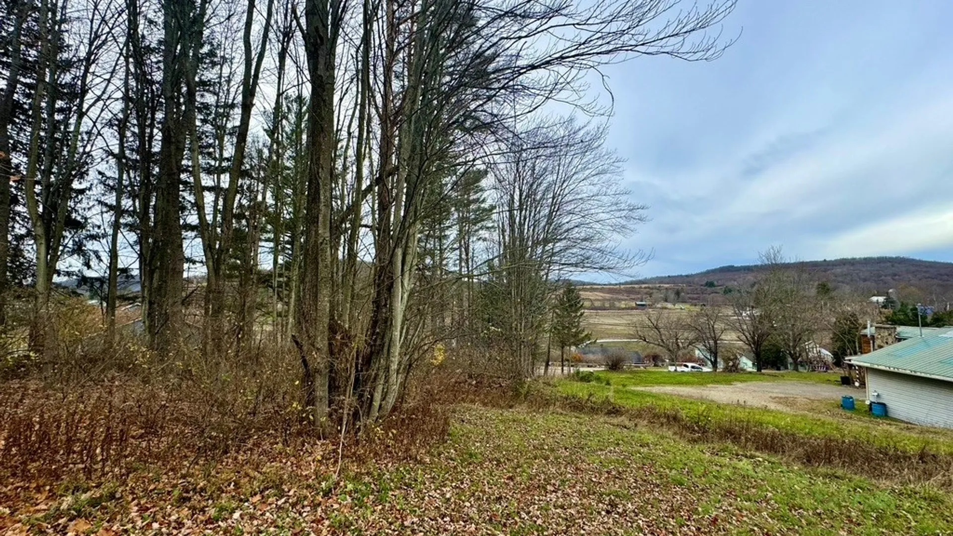 Property at 373B Shore Road, Cuba, NY 14727 38