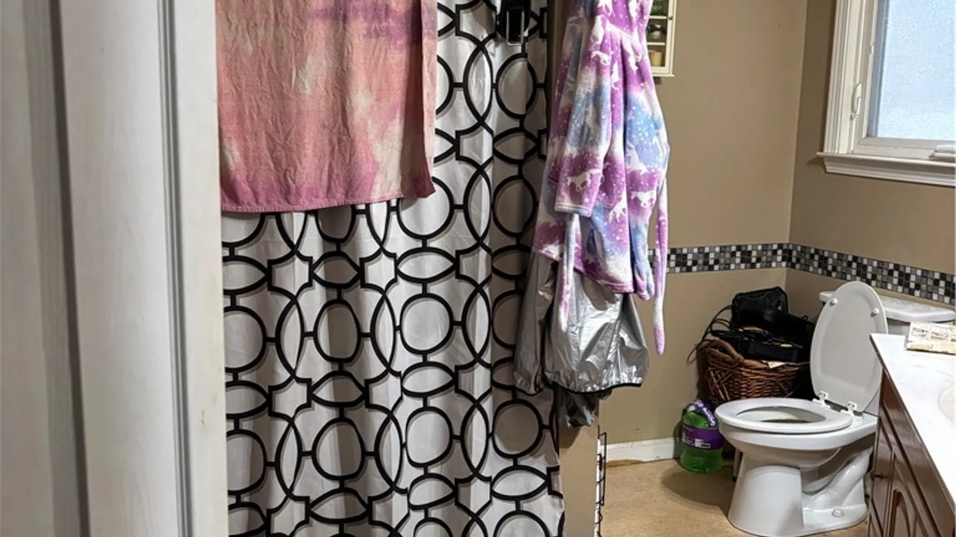 Property at 15 Layton St, Lyons, NY 14489 4