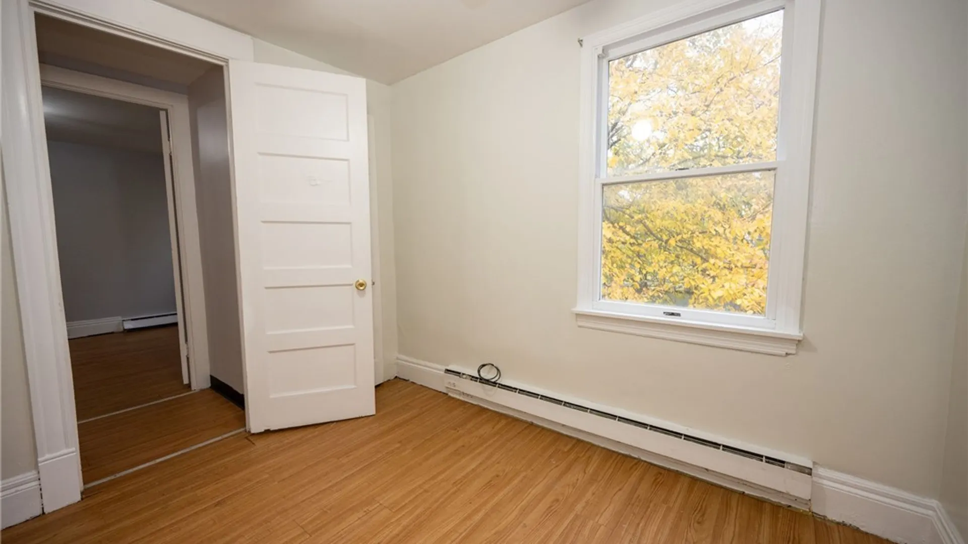 Property at 1094 Elmwood Avenue, Buffalo, NY 14222 12