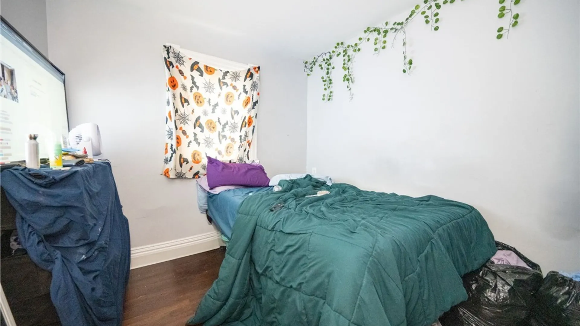 Property at 1094 Elmwood Avenue, Buffalo, NY 14222 31