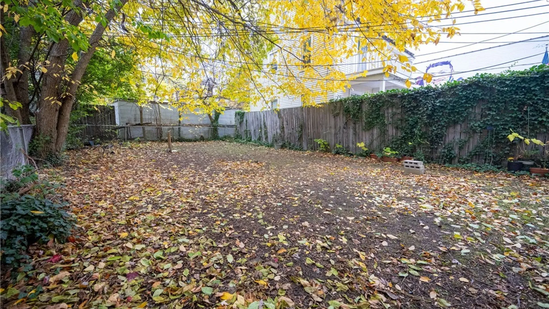 Property at 1094 Elmwood Avenue, Buffalo, NY 14222 32