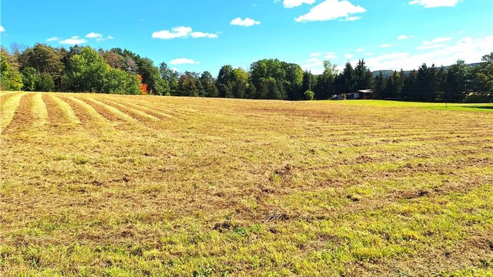 Property at Rt-21, Wayland, NY 14572 12