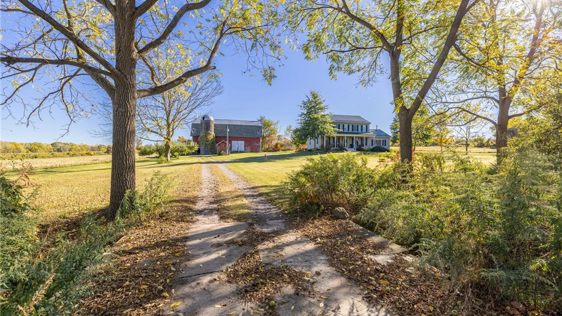 Property at 1950 Dow Road, York, NY 14525 5