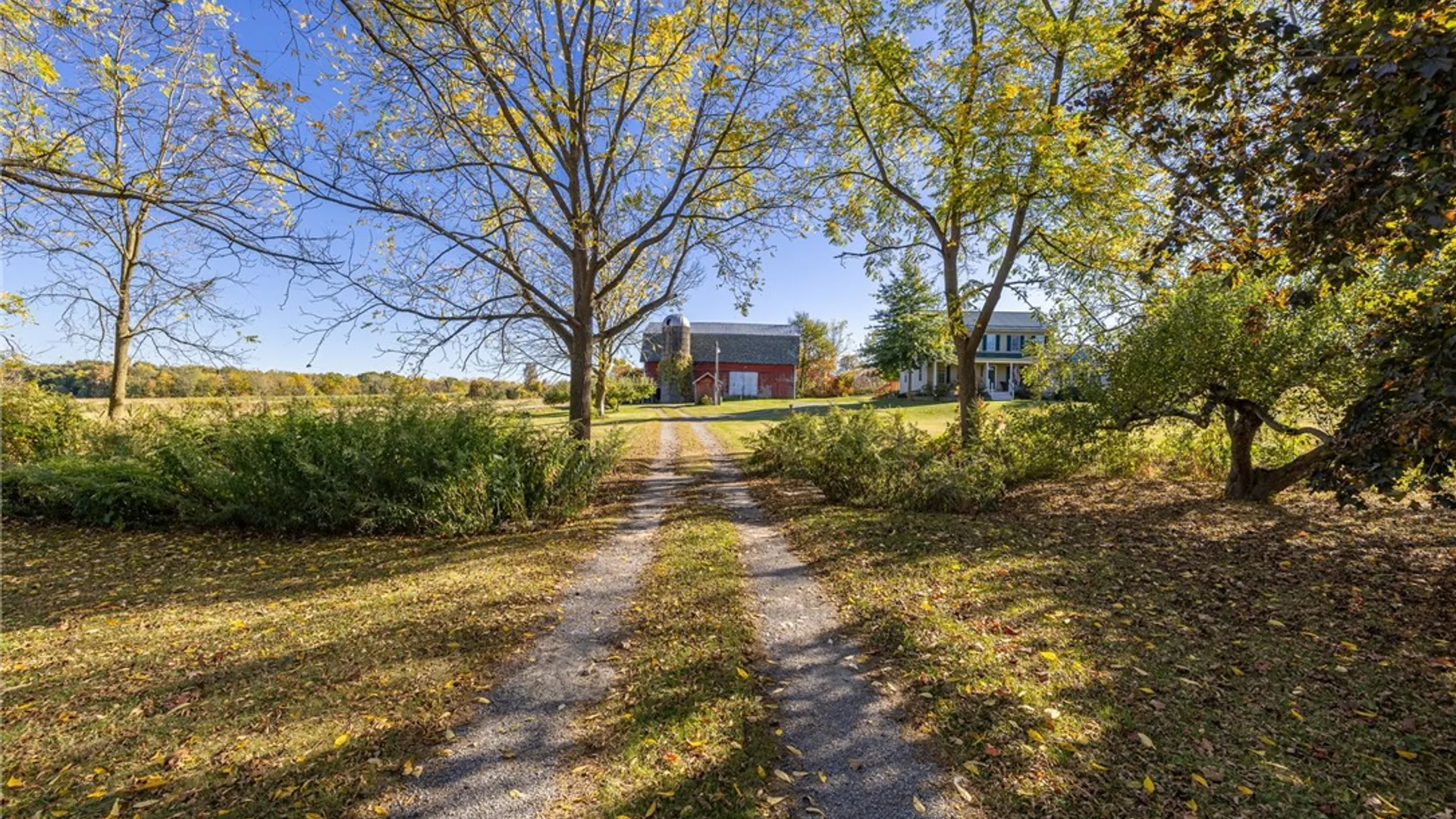 Property at 1950 Dow Road, York, NY 14525 6