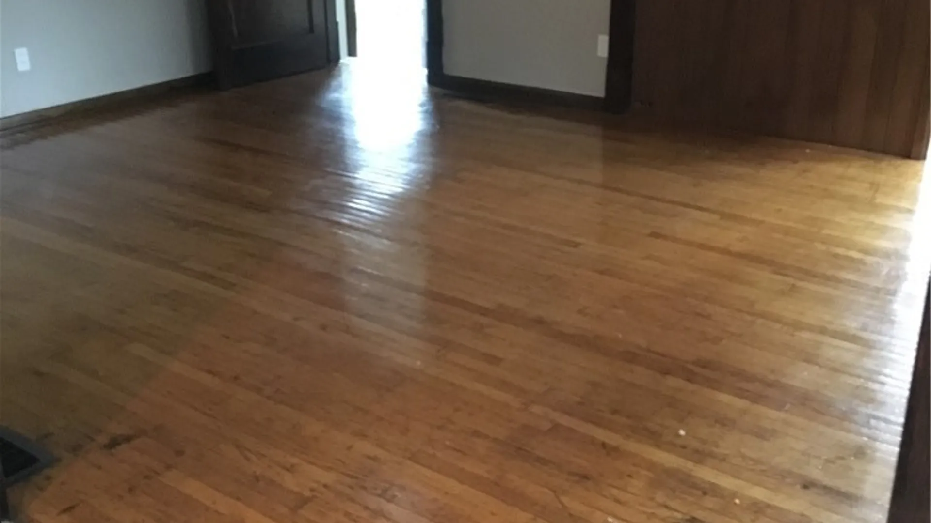 Property at 233 Minnesota Avenue, Buffalo, NY 14215 13