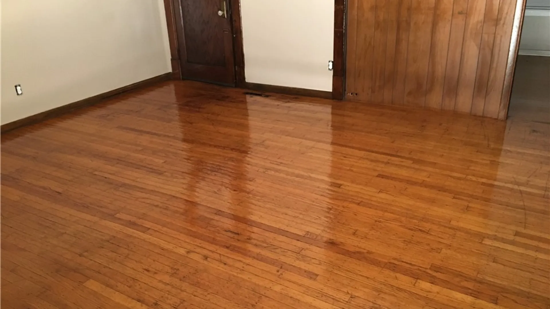 Property at 233 Minnesota Avenue, Buffalo, NY 14215 6