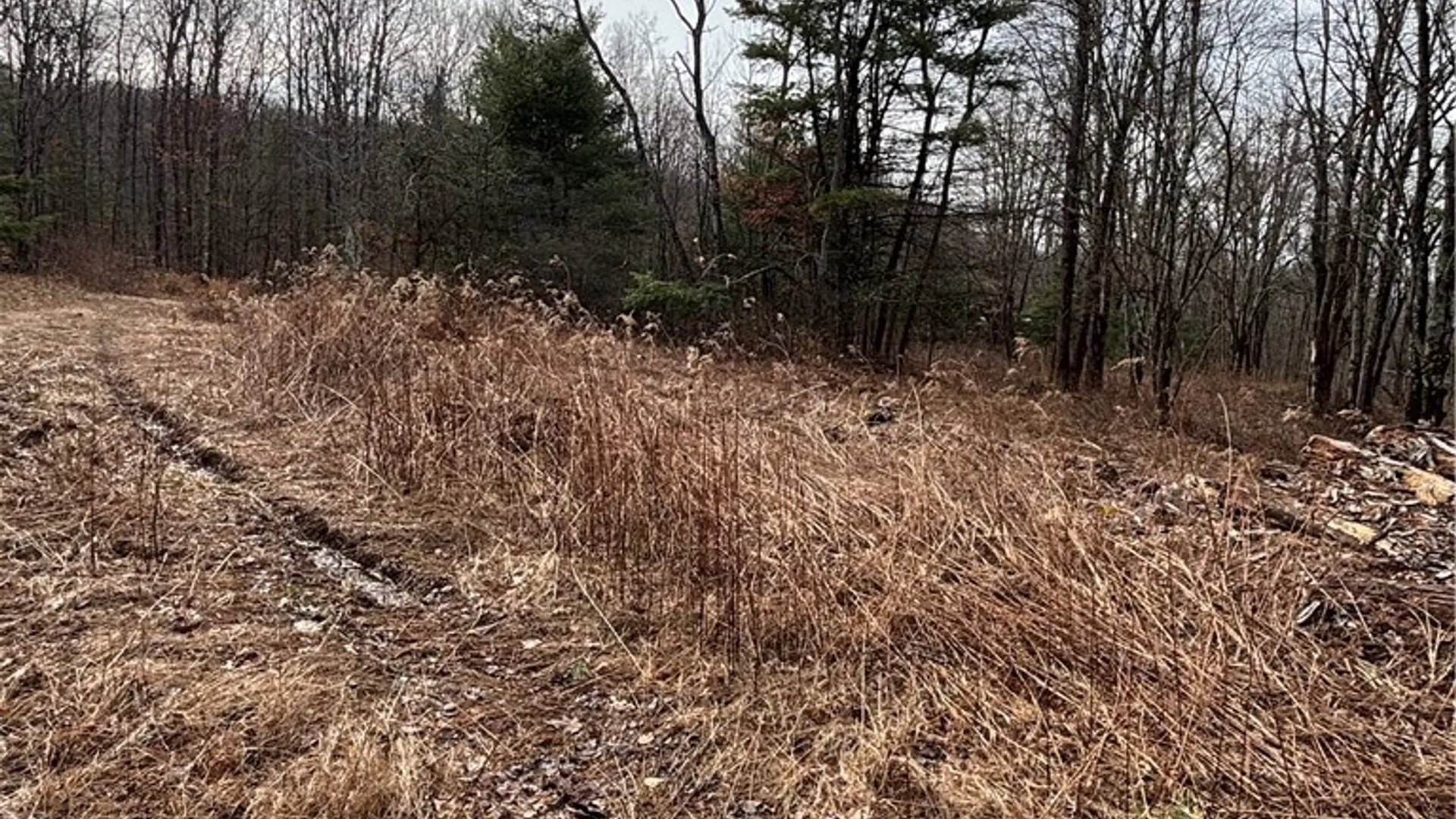 Property at 370 Ellis Creek Rd, Barton, NY 14892 12