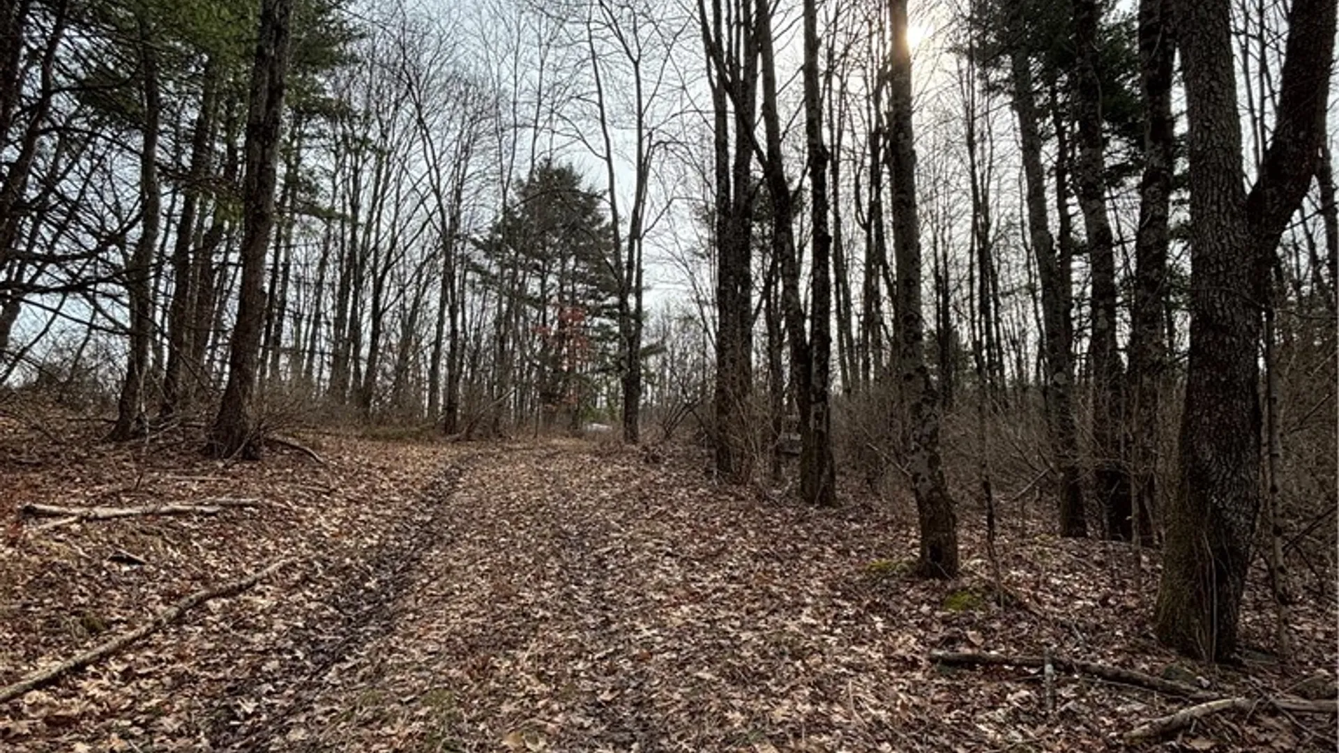 Property at 370 Ellis Creek Rd, Barton, NY 14892 13