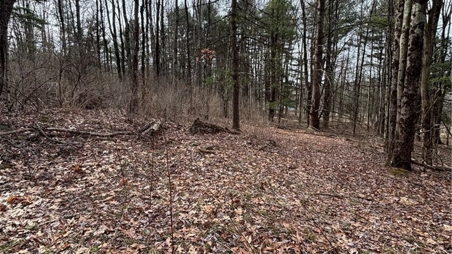 Property at 370 Ellis Creek Rd, Barton, NY 14892 14