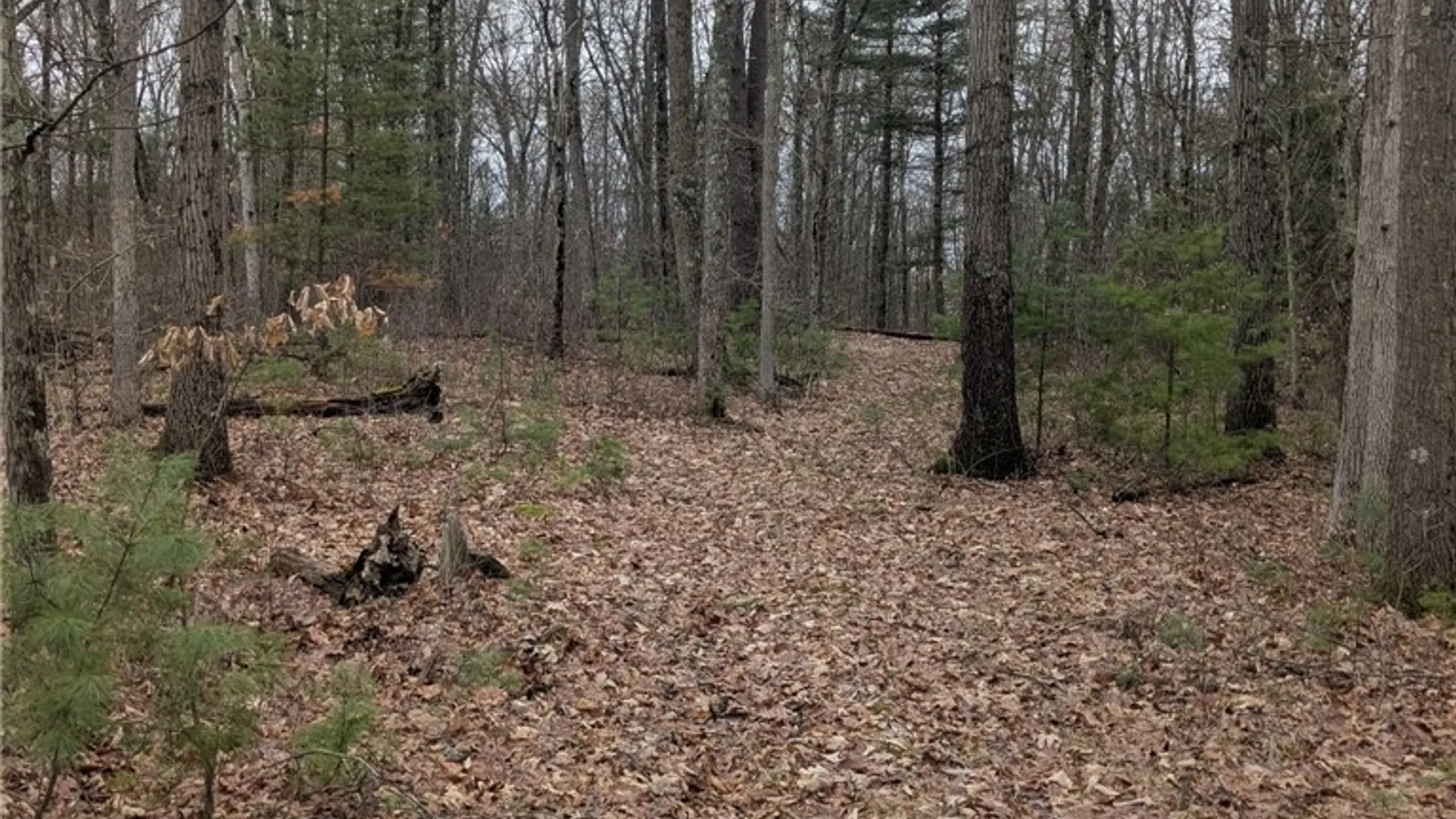 Property at 370 Ellis Creek Rd, Barton, NY 14892 15